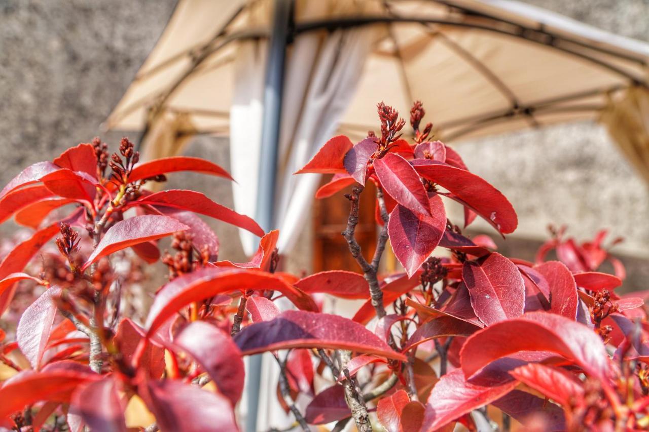 Agriturismo Casa Da Pietro Poggio Alla Croce ภายนอก รูปภาพ